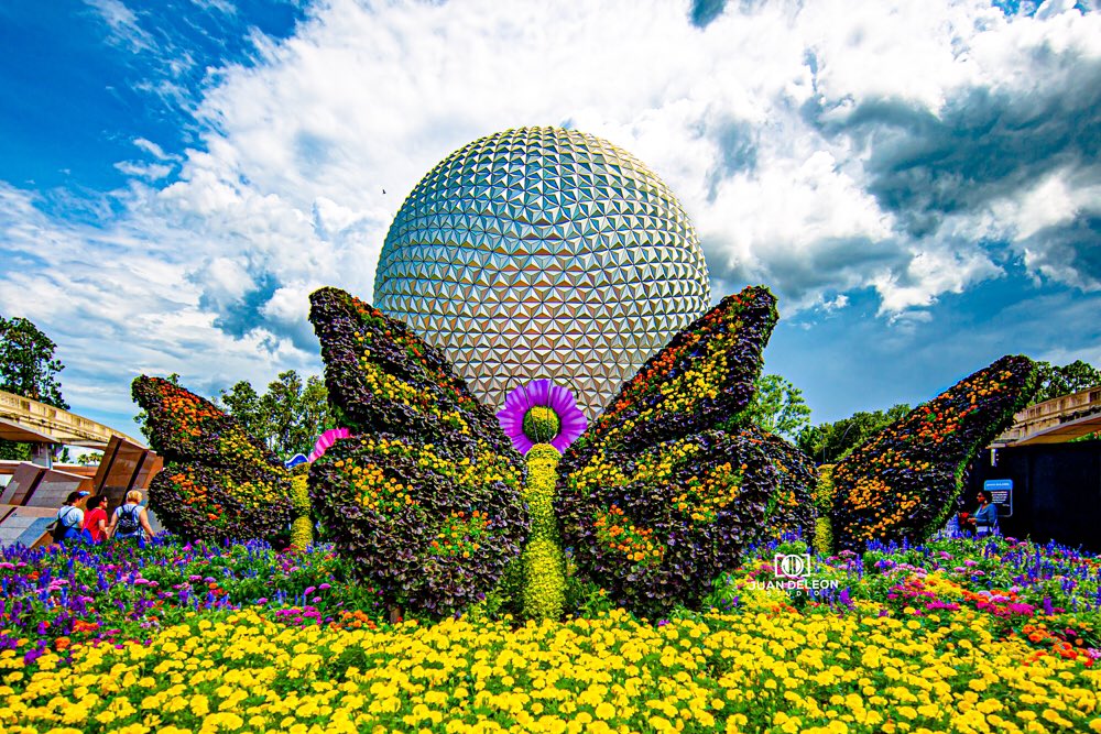 bikevato's tweet image. Few photos the Ferris Wheel is turning. The photo was taken at a slow shutter. Epcot has the Garden Festival with beautiful works of art. #juandeleonstudio #spolied #waltdisneyworld #freshepcot  #freshepcot2019 #freshepcotfestival @WaltDisneyWorld @DisneyParks