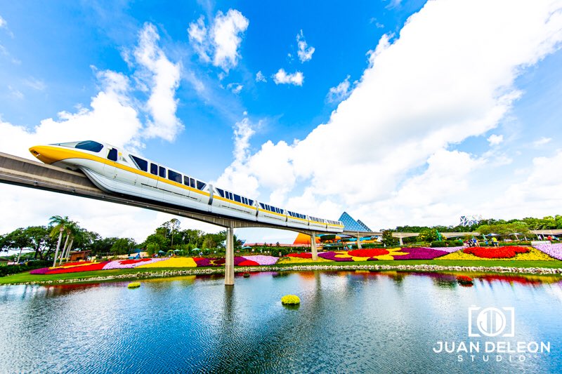 bikevato's tweet image. Few photos the Ferris Wheel is turning. The photo was taken at a slow shutter. Epcot has the Garden Festival with beautiful works of art. #juandeleonstudio #spolied #waltdisneyworld #freshepcot  #freshepcot2019 #freshepcotfestival @WaltDisneyWorld @DisneyParks