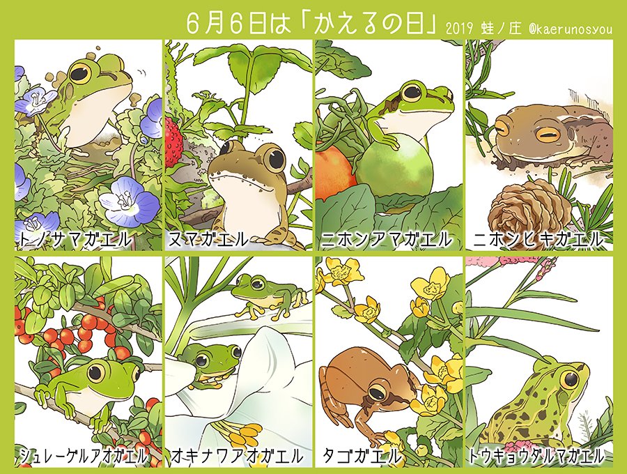 蛙ノ庄 8 6 29いきものづくし名古屋ハンズannexさんのツイート 6月6日は かえるの日 日本にいるカエルを描いています かえるの日 カエルの日 カエルの日なのでカエルの画像を上げる 蛙ノ庄 8 6 29いきものづくし名古屋ハンズannexさんのツイート 6月6日は かえるの日 日本にいるカエルを描いています かえるの日 カエルの日 カエルの日なのでカエルの画像を上げる