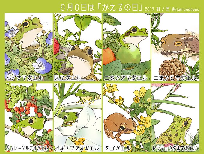 逸架ぱずるさん がハッシュタグ カエル をつけたツイート一覧 1 Whotwi グラフィカルtwitter分析 逸架ぱずるさん がハッシュタグ カエル をつけたツイート一覧 1 Whotwi グラフィカルtwitter分析