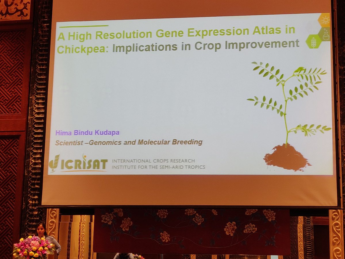 rajaguru_bohar's tweet photo. @HimabinduKudapa presenting on the research work on gene atlas in #chicpea at the #translationalgenomics workshop at @PAGmeeting .. @CGIAR @rajvarshney @jai_amma https://t.co/5Zg1ChqVWA