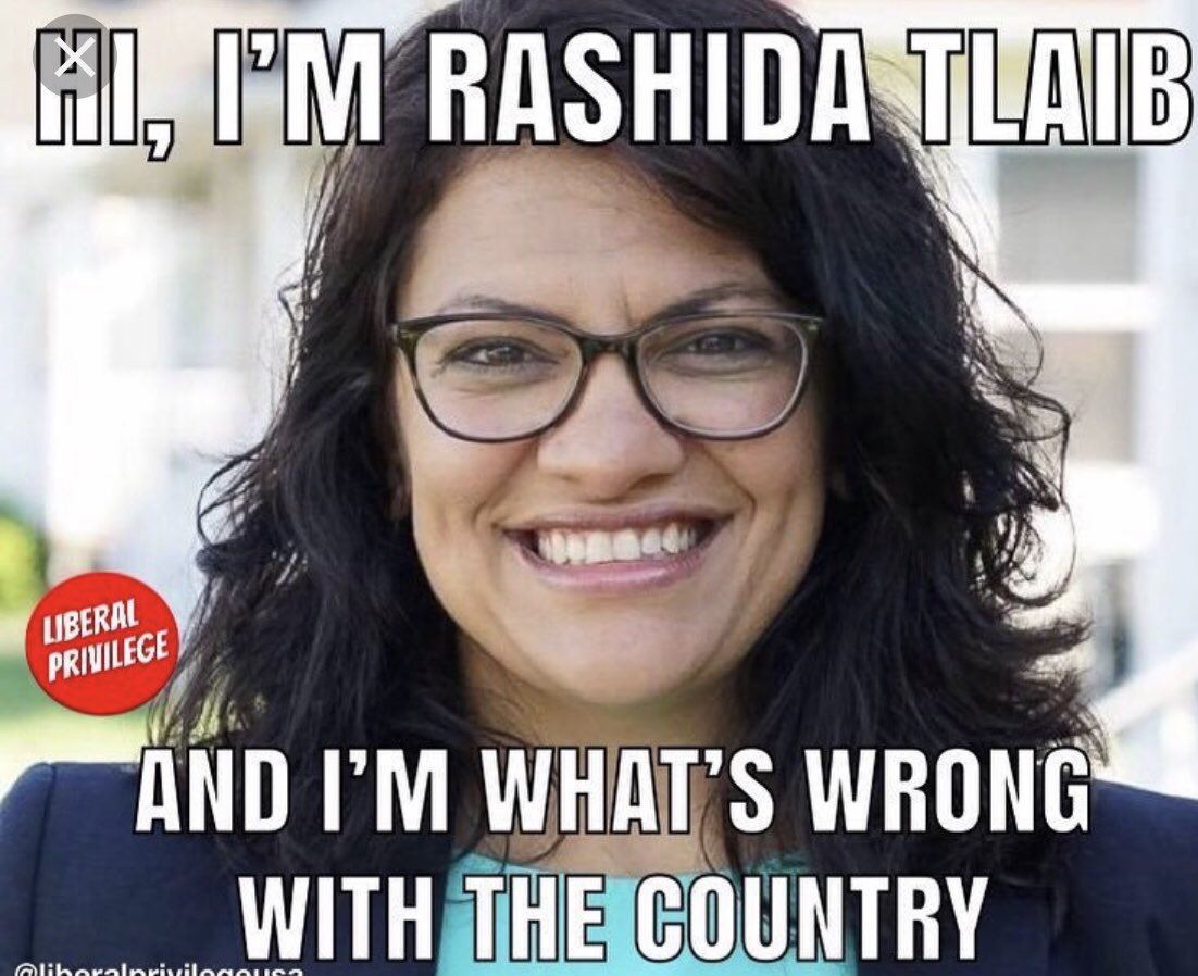 @Tombstone1954 @tslanning Tlaib acting scared? This has to be a joke, she cares only about herself. She is an Anti-Semite, no respect for her and Ilhan “someone did something” Omar. Sickening! #NoShariaLaw