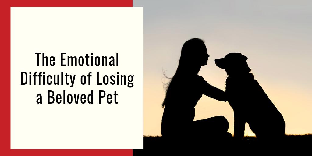 360PetCab's tweet photo. [BLOG] Feeling devastated when there is no more hope for your pet is absolutely valid, despite what anyone says. Read our blog for more insights we share with our clients on deciding when the time is right, saying goodbye, and coping with the loss →https://t.co/kZsmUTXQLk https://t.co/FYJCWFYThk