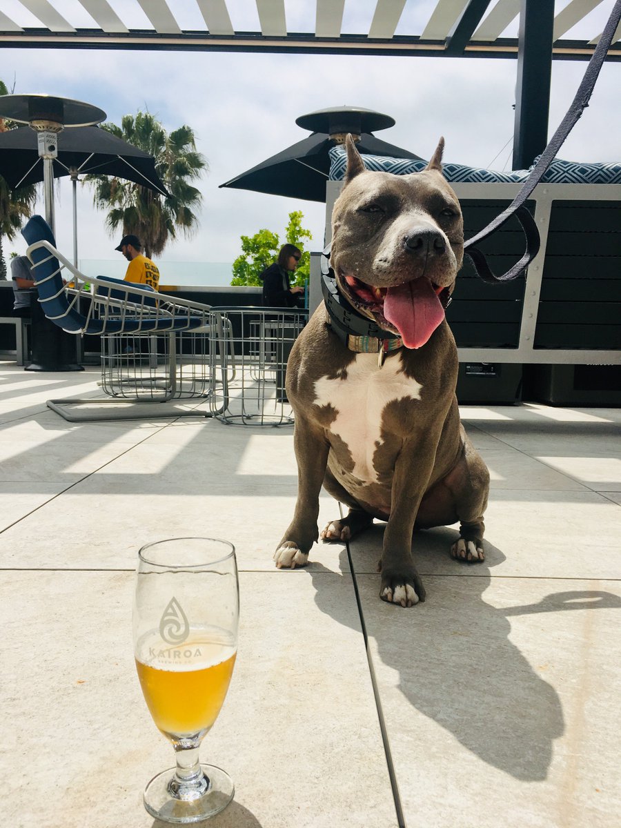 KairoaBrewingCompany tweet media