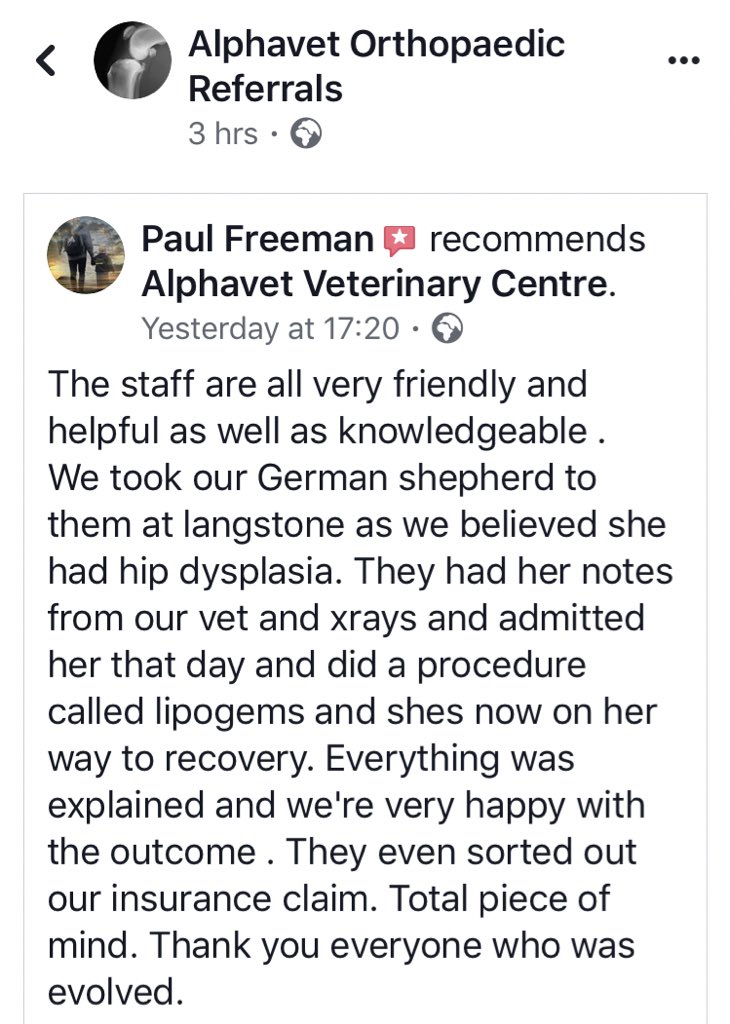 lipogemscanine's tweet photo. We love hearing about our cases!! Here is the review left by this gorgeous girls owner after her treatment with not one but two of our top referral surgeons #savingyourbestfriend #lipogemscanine visit our website to find out more https://t.co/gOckaCSszX https://t.co/H39psCjTZq