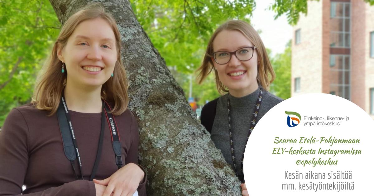 elinvoimak_EP's tweet photo. Joko seuraat meitä Instagramissa? Kesän aikana tililtämme löytyy muun muassa #kesätyö'ntekijöiden esittelyjä ja muuta kesäistä sisältöä! ☀️Kannattaa siis laittaa tilimme (epelykeskus) seurantaan! #elykeskus https://t.co/CIFbgvqSVu