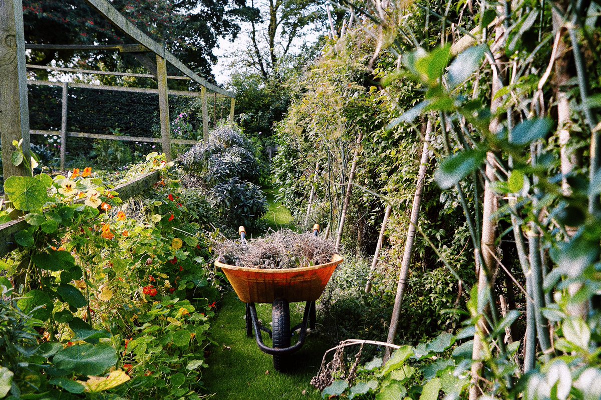 As we’re entering the Summer months we’re interested in seeing your #peckishviews 🐥 These can be anything from your Peckish products to the birds in your garden. Share and post using the hashtag above☀️☀️