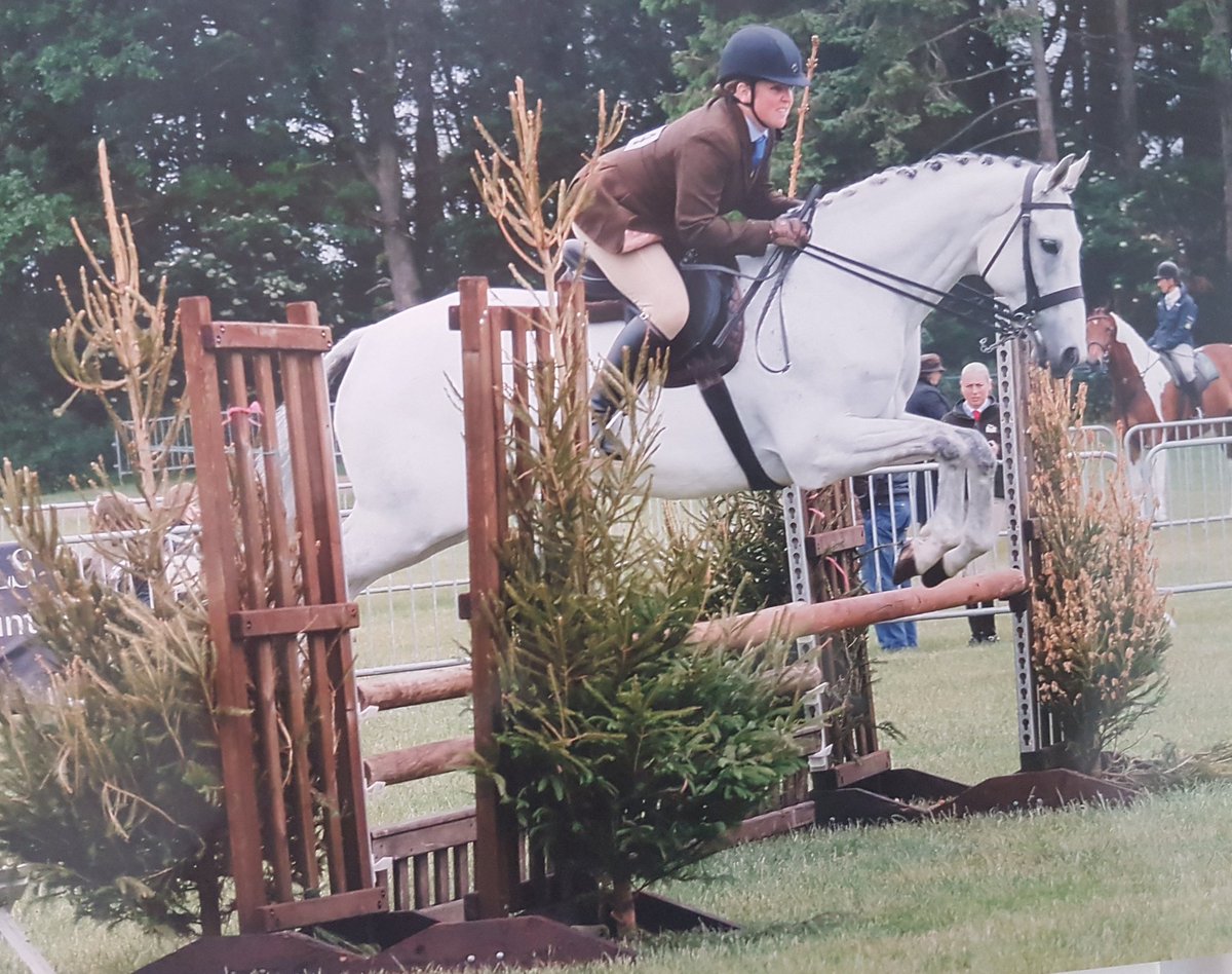 EquestrianClare's tweet photo. Word Of Warning formerly trained by @PKirbyRacing at @BathandWest in the @RoRlatest Classes.
#thoroughbredlyversatile
#cantbeatanexracehorse #LoveYourRoR #wordofwarning #wowzer #special #unicorn #supersmokes #ping https://t.co/x9YYzg6XMU
