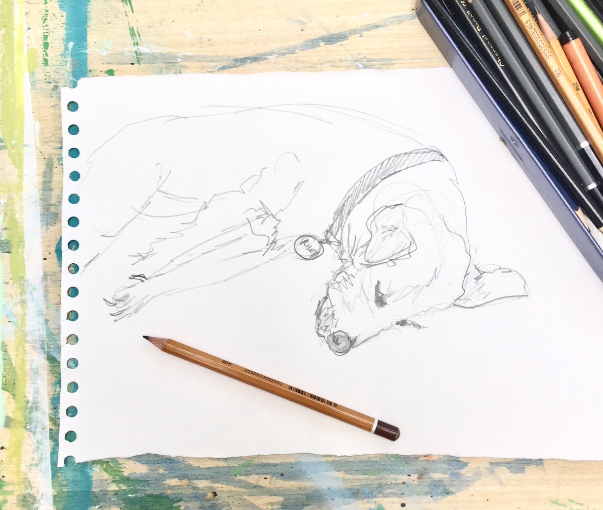 Quick 3 minute sketch of Riley Bear.

Great to have my studio back after @trojanhouse26 
-
-
-
#dog #sketch #pencilsketch 
#dogsinart #aohmay2019 
#fromtheheartofbrighton #brightonart #troyohlson #brightonartist #artlovers #artlife #contemporaryart #artofbrighton #aoh  
#creative
