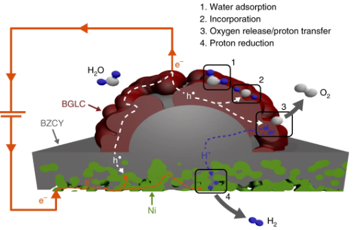 NatureMaterials's tweet photo. Article | Mixed proton and electron conducting double perovskite anodes for stable and efficient tubular proton ceramic electrolysers 
https://t.co/OHonCZzEDO https://t.co/EA5cHNnfZU