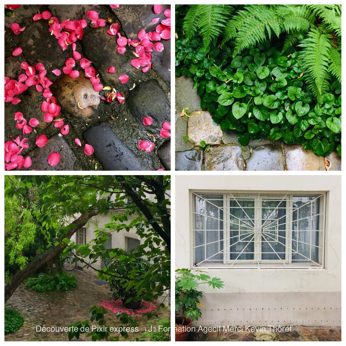 #agecif Stage J2 🤓découverte Pixlr express merci ⁦<a href="/AGECIF/">AGECIF (Formation)</a>⁩ #agecif #formationCom