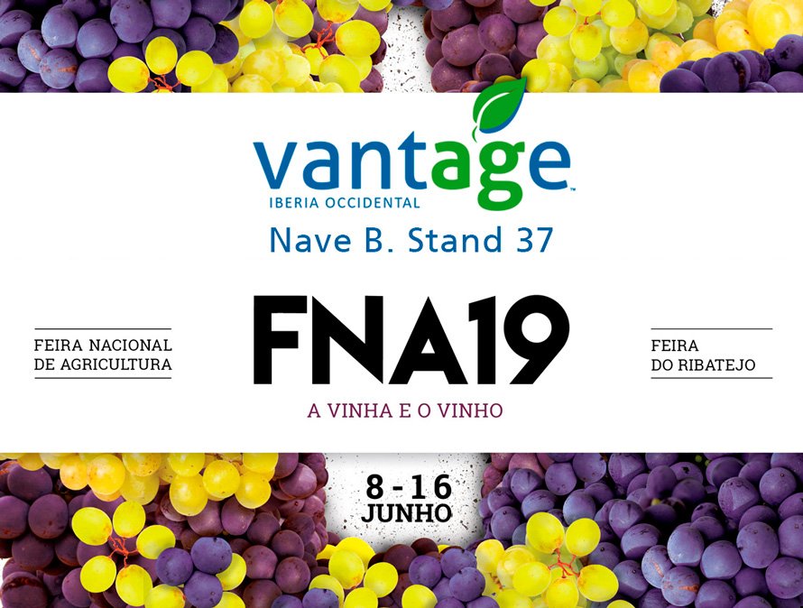 Vantageoeste_pt's tweet photo. 📢 De 8 a 16 de junho, estaremos esperando por você na Feira Nacional de Agricultura en #Santarém. Venha, experimente os melhores Trimble GPS e Autoguides para o seu trator ao vivo e leve-os a um preço especial durante estes dias. #FNA19 #agtech 

➡️ Nave B, Stand 37. Visite-nos! https://t.co/u4IafHHaYW