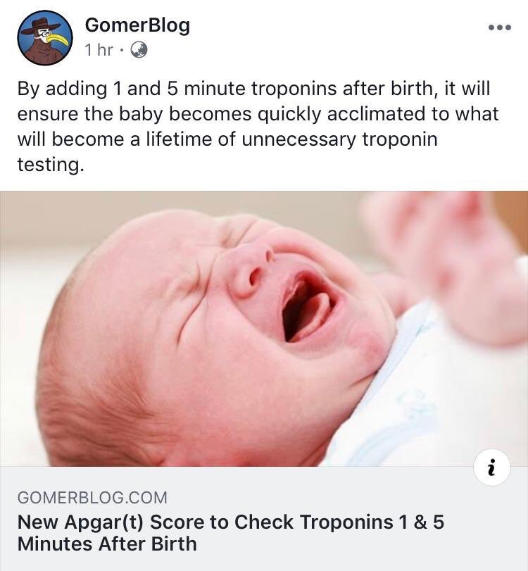 David Brieger tweet media