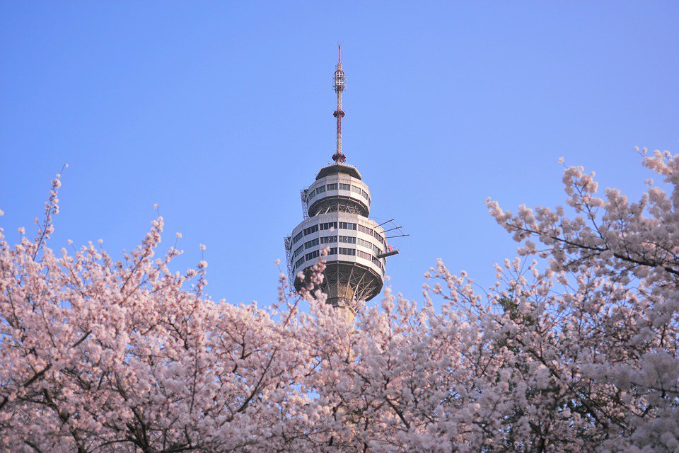 Kraveler's tweet photo. Korea will be your destination in this summer but you don't know how much is enough for your trip or how much you will need for one day? Let's check out the link below for more information.
https://t.co/9pRKcIVBG8
#korea #travel #koreatravel #tripbudget #triptokorea #ktrip https://t.co/qdaUcAGFgP