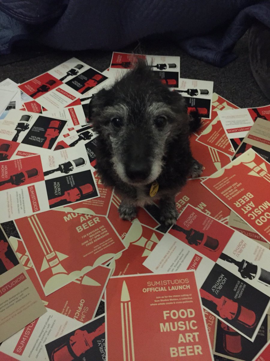 Sum.Studios tweet media