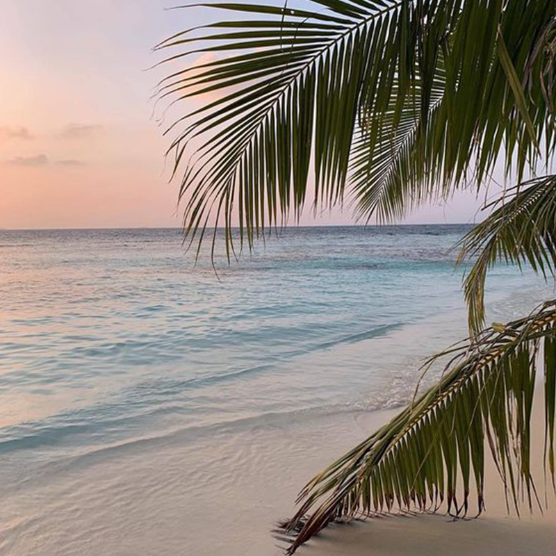 MOKA_Body_'s tweet photo. If you could go on holiday right now where would you go? 🌴 https://t.co/zBLFCdeIeT