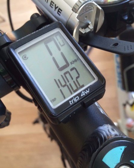 freya rodger tweet media