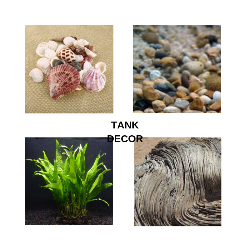 Nairobipethouse's tweet photo. #TankDecor There are so many possibilities in the creation of your aquarium. It should mirror your taste and balance with the needs of the fish you will keep.
DM or call @ +254-788-346595 for a referral!
#aquarium #Aquascaping #aquadecor #fish https://t.co/svfE2S3VHb