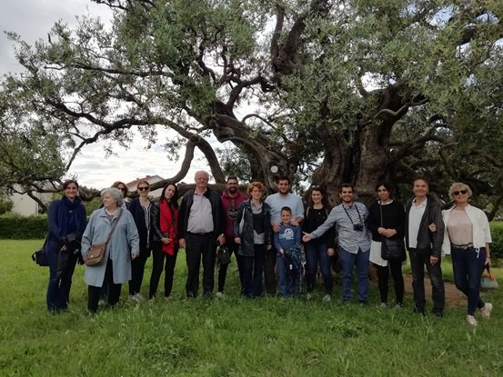 aristoilproject's tweet photo. @aristoilproject 5th Steering Committee meeting took place between 28 and 30 of May 2019 in Split, Croatia
https://t.co/2tCC4YgOf8
#aristoil
#oliveoil
#cluster
#polyphenols
@MED_GreenGrowth https://t.co/Oy6bOn3GND