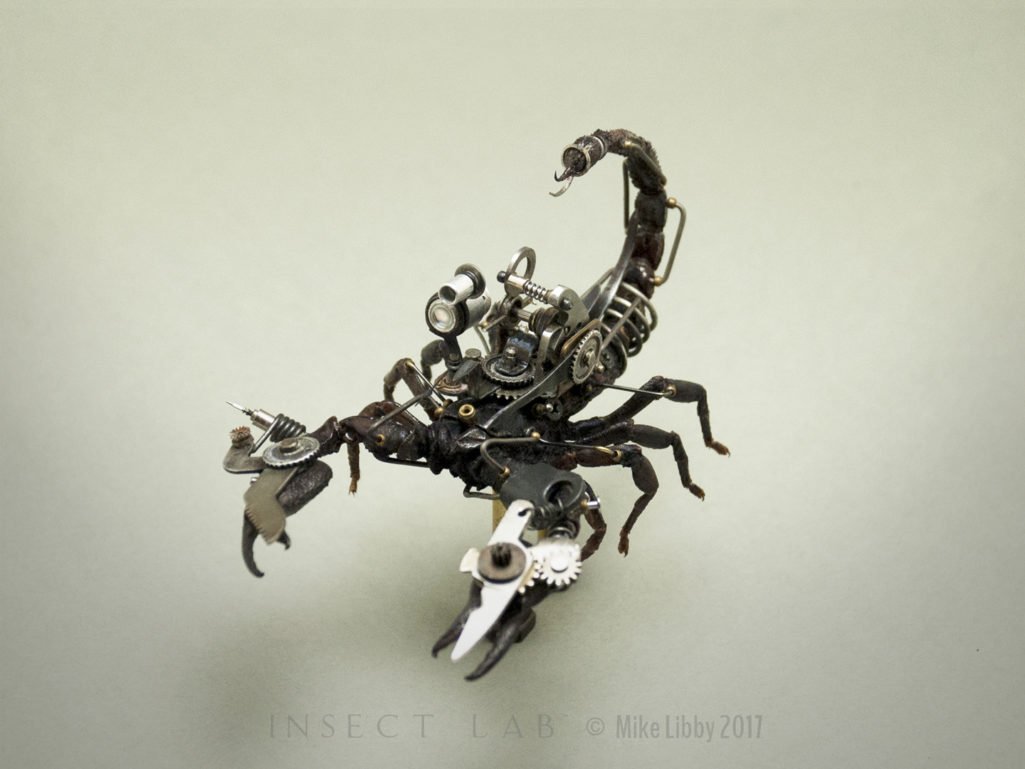 Insect Lab Studio』本物の昆虫標本を使った、スチームパンクな昆虫