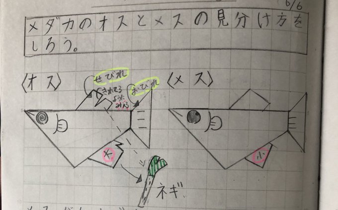 Twitterのコスプレ画像16