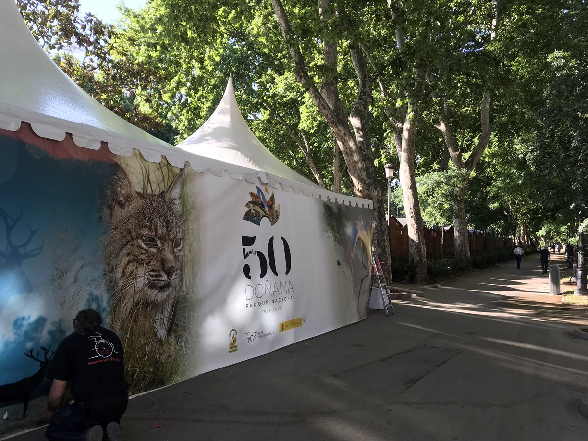 Esto empieza pero ya! Desde el Paseo del Prado la #MADbird2019 va cogiendo velocidad, ya está la carpa de <a href="/oapngob/">Parques Nacionales (OAPN)</a> Parques Nacionales casi a punto😀