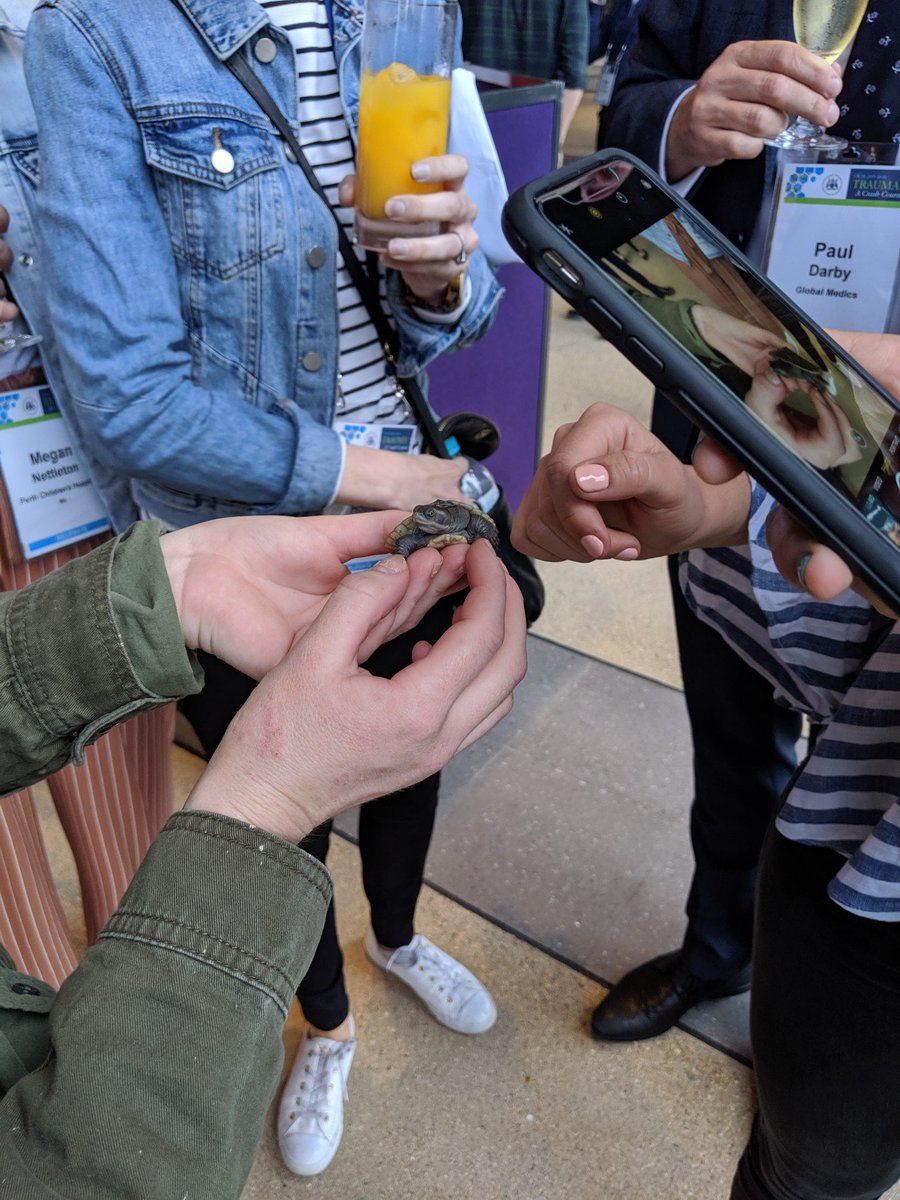 CICMANZ's tweet image. The networking drinks have started and some interesting guests arrived. #cicm2019asm