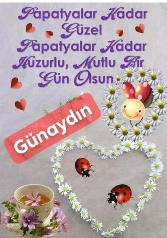 Toprak81550334's tweet photo. https://t.co/3op8GFuXH0