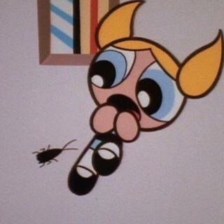JuliFusina's tweet photo. spoiled rotten https://t.co/bfkaavwkRB https://t.co/5rupwuUMrj