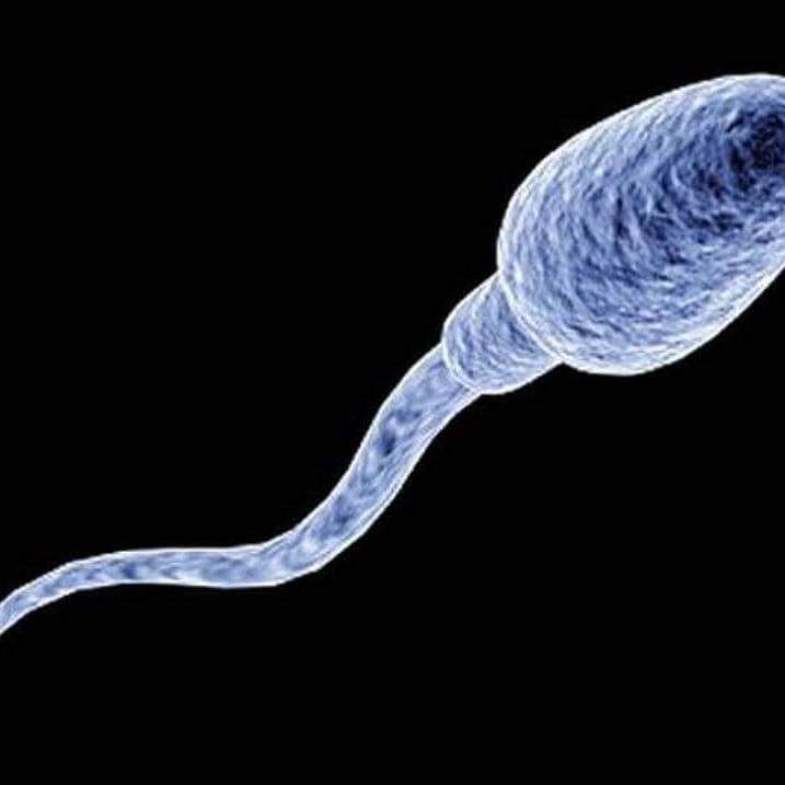 iotama22's tweet photo. They say they are seeing #spermcells in the sky in #Lagos. I think the fertility centers there are booming already, and guys are making #money.
Congratulations Lagos guys. 🙈🏃🏿♂️ https://t.co/750tQsIPJn