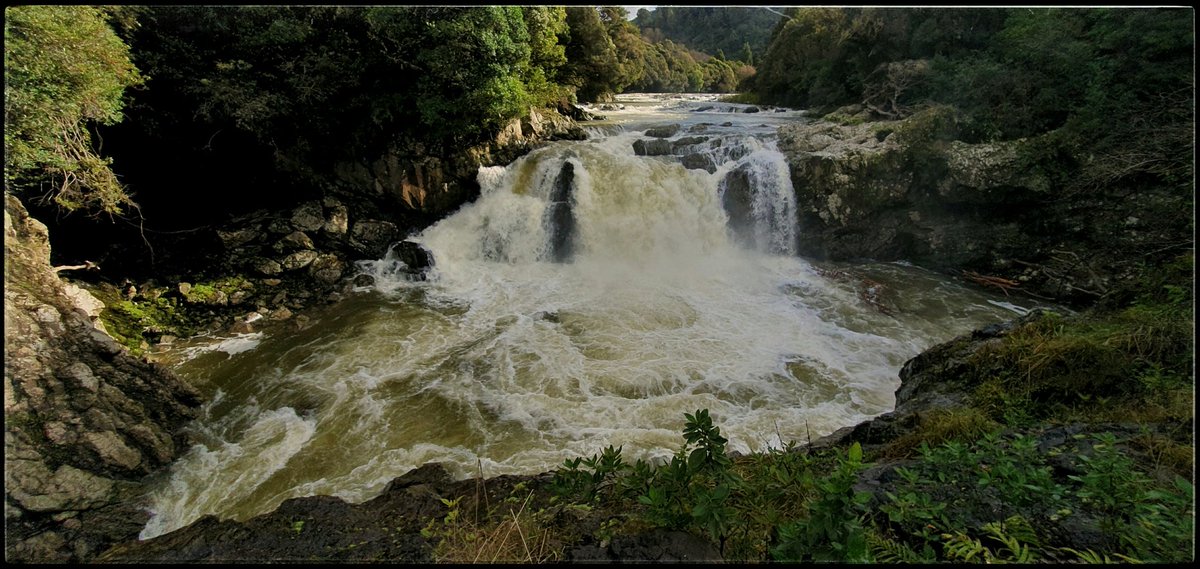 hottriggered's tweet photo. River Rocking 

Falling for remoteness
In a natural silence

Countryside o' beauty
when dreams live

in places where
only dreams live

beyond any stump in
lands over t horizons 

hidden in valleys
where only dreams live

#Bay_of_Plenty
#New_Zealand
(C) #hottriggeredkiwi https://t.co/lGThUWtBNK