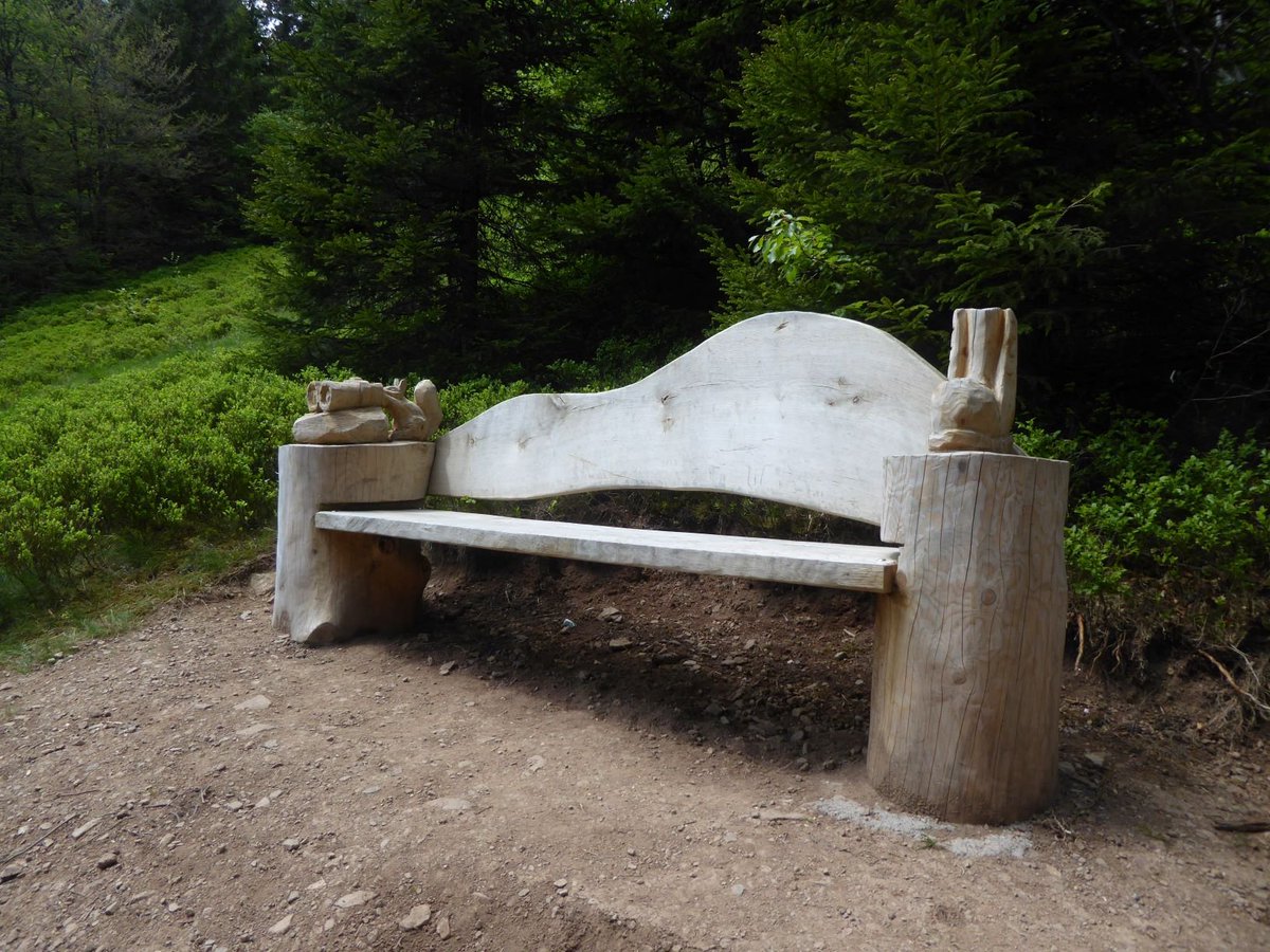 HSderSchreiber's tweet photo. Lustige und besondere "geschnitzte" Bänke für müde #Wanderer oberhalb zwischen #Belchen und #Multen. https://t.co/ZHqZQ6xIh3