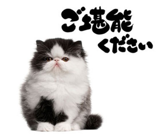 Twitter पर ワタナベナオコ 猫スタンプかわいいです T Co Stfike50de 猫スタンプ 無料スタンプ ねこ