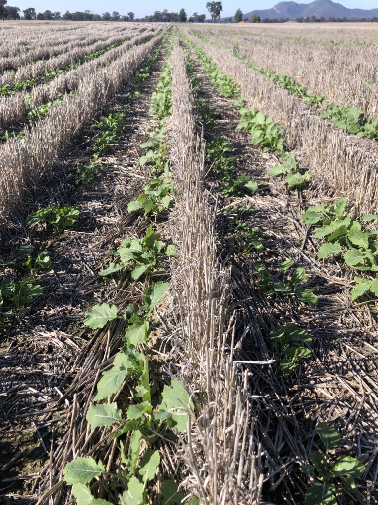 Warwick Holding tweet media