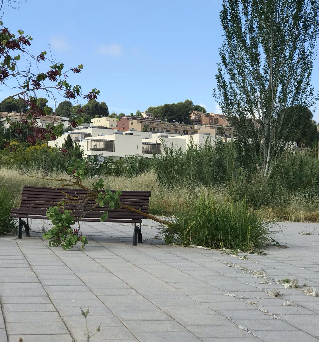 CastelletSqv's tweet photo. Aquest és l'estat de l'equipament urbà a l'Avinguda del Camp (El Castellet), justament ara que ens volen fer pagar per la recepció de l'urbanització. Impostos de 1era, Serveis de 2ona @ajsantquirze @elisabethoj https://t.co/Duh9WtbV0N