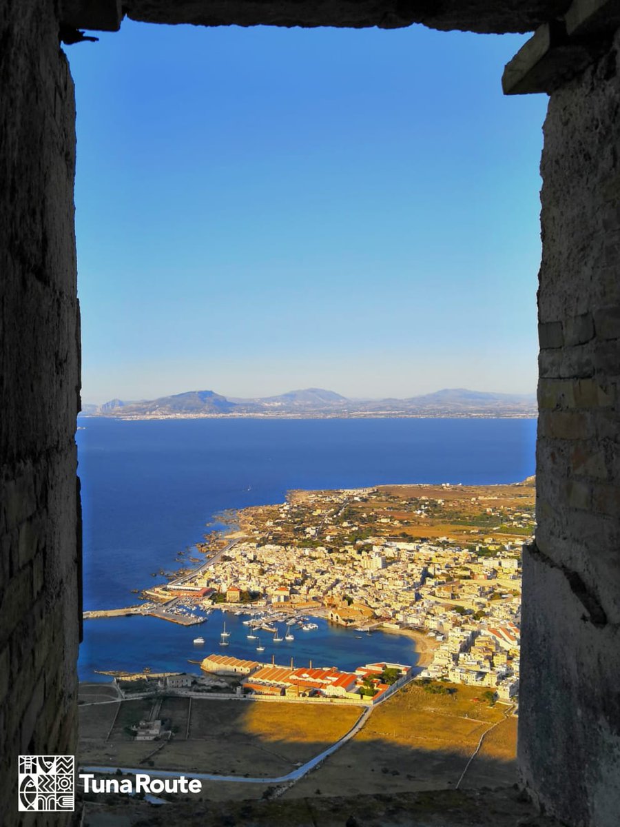 Tuna Route tweet media