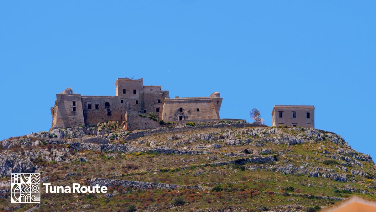 Tuna Route tweet media