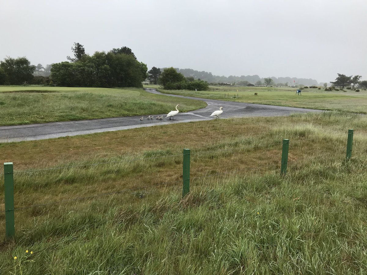 #CarnoustieGolfLinks, the perfect location for a day out with the family, whatever the weather.

📸: Lorraine Young