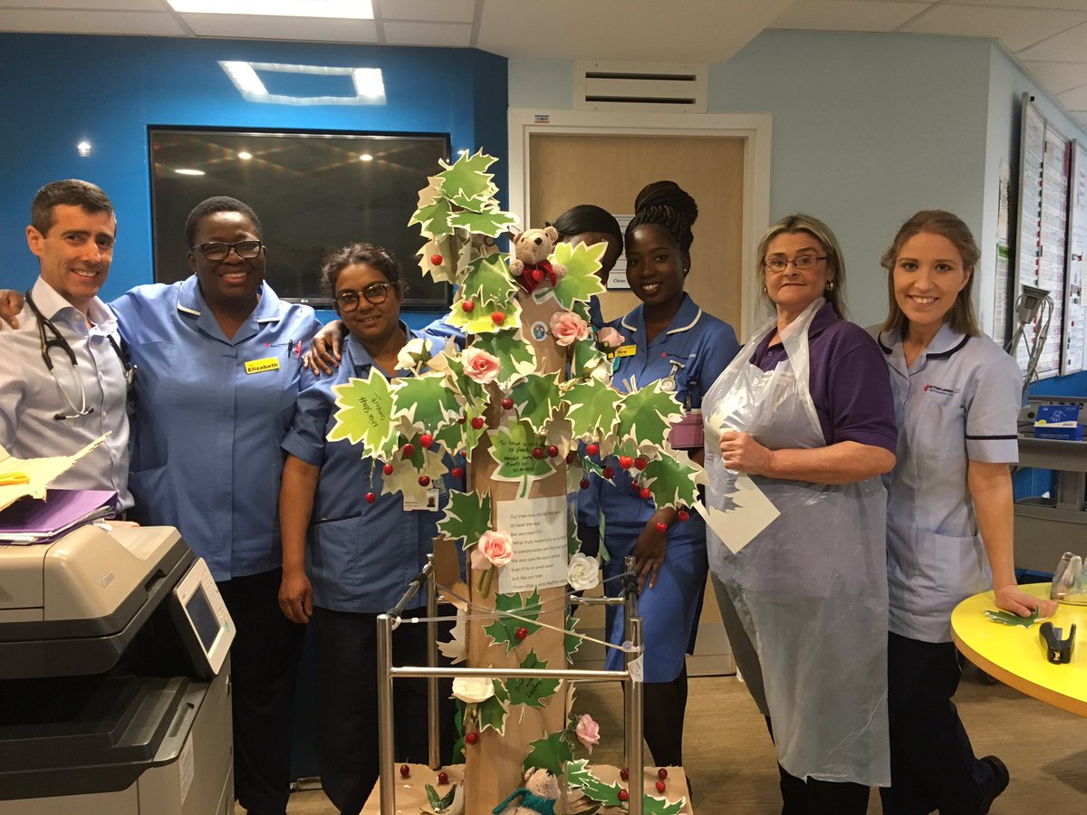 Barnet Larch Ward showing some great team work in making their WMTYD tree- even the patients got involved! #wmty19  @RoyalFreeNHS