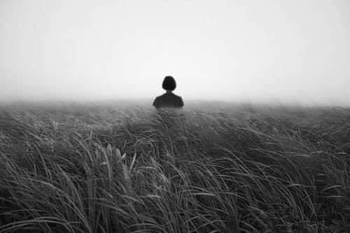 حكمة © tweet media