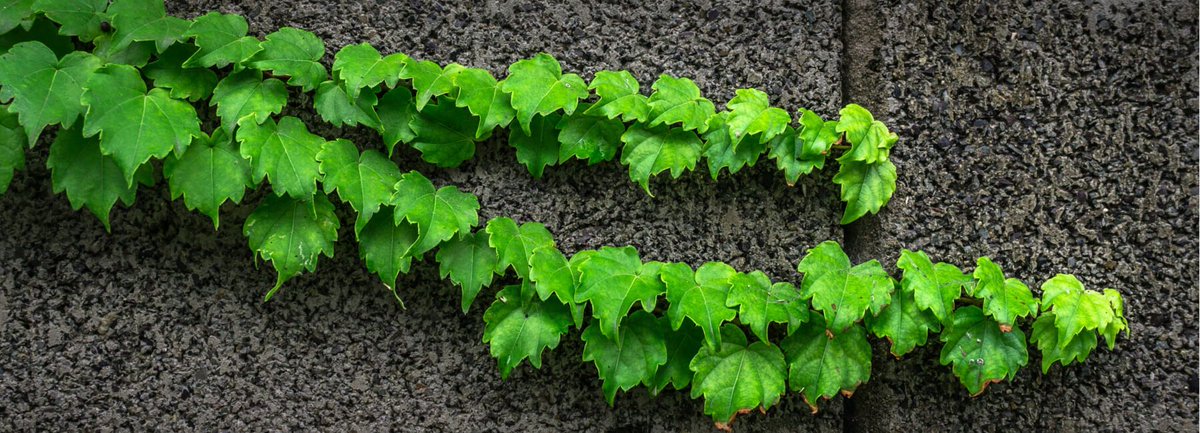 CustomerExpNews's tweet image. Grow fast or die slow - Check out this #overview with the 35 best #GrowthHacking tools for startups.  buff.ly/2D9Cw3f

#GrowthHackingTools #Startup #Business #NewBusiness #Businesstips