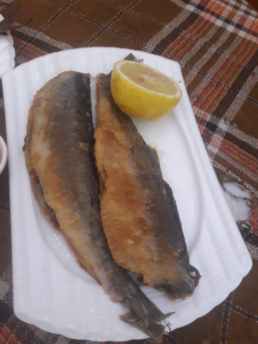 هي أطيب أكلاتنا بالعيد وما يحلى العيد الا بالحوادق والسمك المالح ( الفسيخ )🙈
احنا بنوكل فسيخ فطور وغداء 😍😍
وأنتم شو بتوكلو؟؟؟
يلا جاوبوني