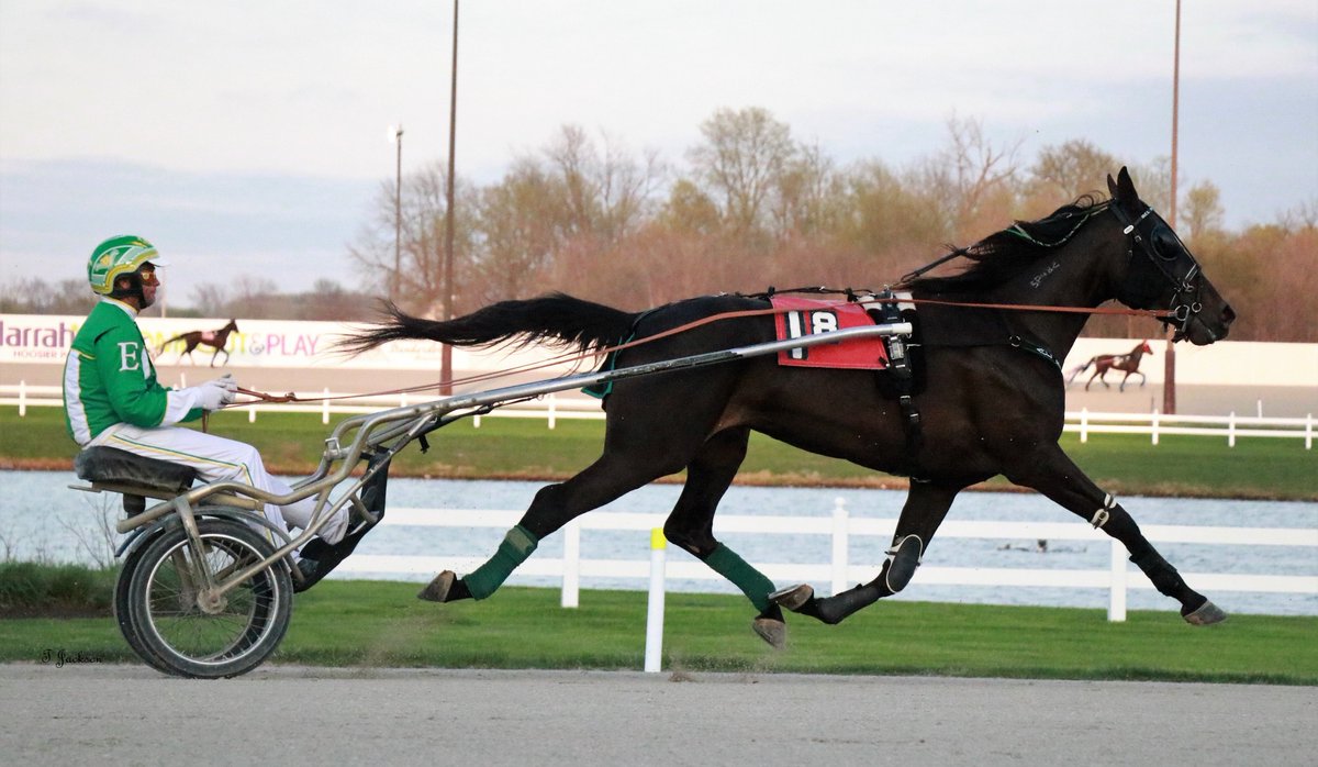 hoosiernations's tweet photo. GoodMorning @Chris_wponies @JoannKi32885615 @rebelsart @jtlburn @kimberlymoier @GlenPeckinpaugh @vnssa926 @KathleenBaitzel @blongphee67 @joe_norte @musicalhossgal @elliotgordon2 @tlvonline @SadandSulk @miller_marijane @HoP_Racing #BluebirdFancy #EllliottDeaton #PlayHP https://t.co/YlTv2IHE59