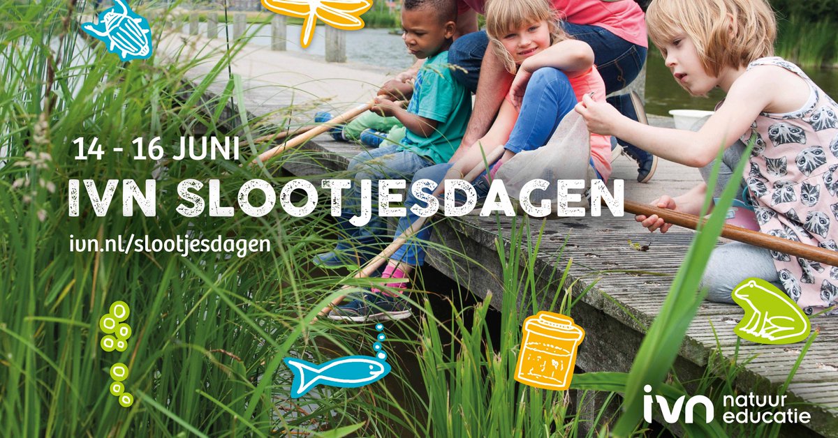 ★ Gratis gezinsuitje: Kom ook naar de sloot! ★
Welk waterdiertje kan ook zomers schaatsen? Wie zwemt op z’n rug? Hoe ademen waterspinnen onder water? Ontdek het allemaal tijdens de Slootjesdagen van 14 t/m 16 juni! Met gratis profi begeleiding van IVN. bit.ly/2XpO1hI