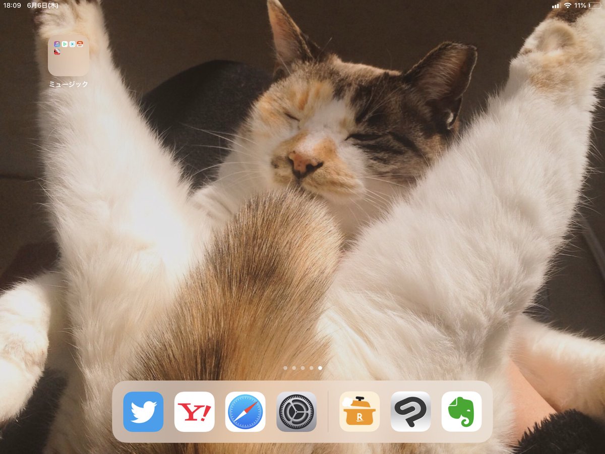 仕事中のcaさんが思わず かっ ふぁ と声に出してしまうくらい キュートなポーズの猫さんがこちら Togetter 仕事中のcaさんが思わず かっ ふぁ と声に出してしまうくらい キュートなポーズの猫さんがこちら Togetter