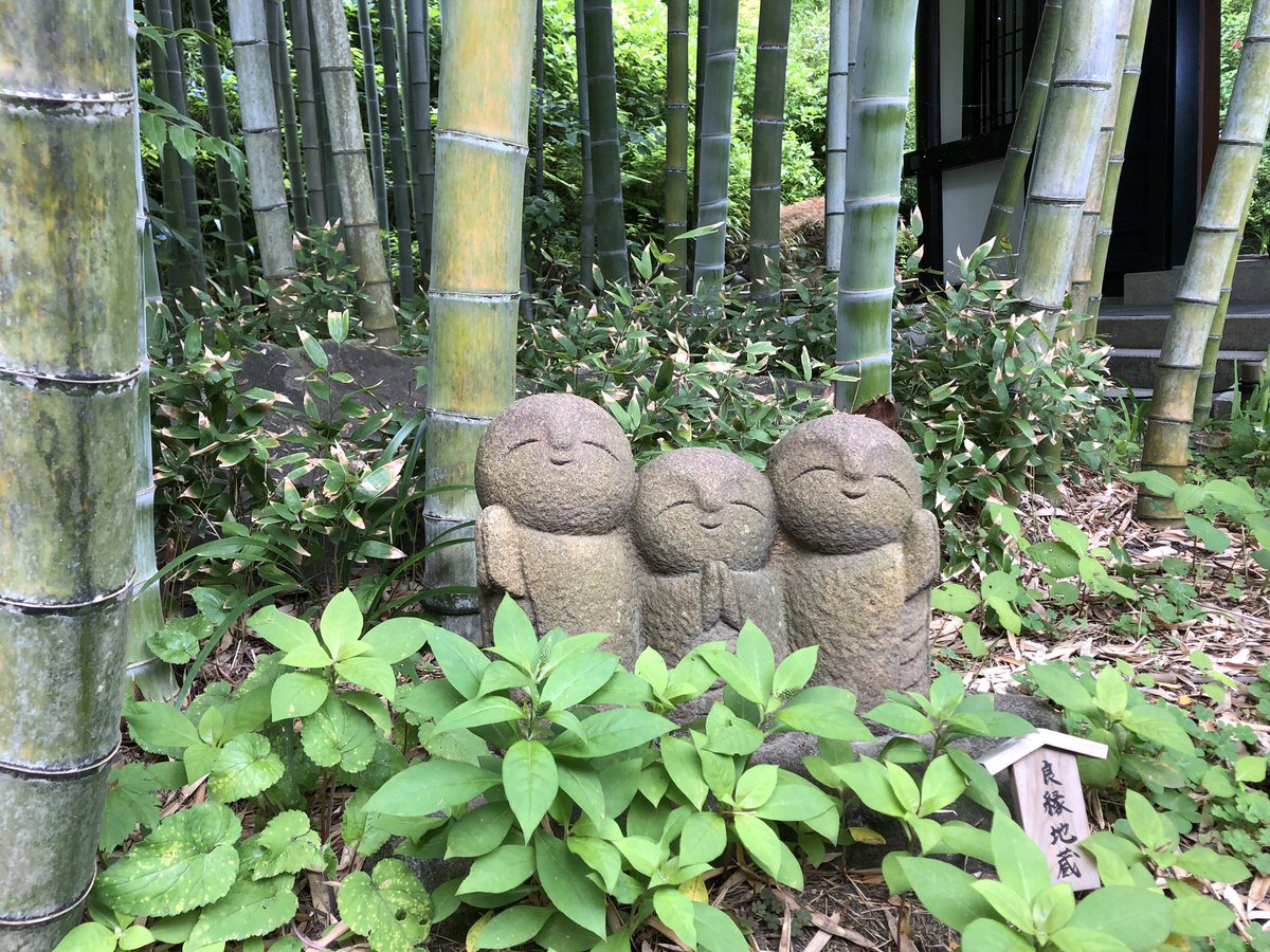 hoshiromi's tweet photo. #鎌倉 #長谷寺 でお地蔵様の優しいお顔をみていると、なんだか幸せな気持ちになりました😊💓
 #紫陽花 は満開ではなかったけれど様々な種類＆色の花が咲き、綺麗でした！

#インスタ 写真はこちら👉
https://t.co/J4INzffxiz

#travel #japan #iphonephoto #kamakura #hydrandea  #flower  #公家イヌ https://t.co/0F9PFj2Law