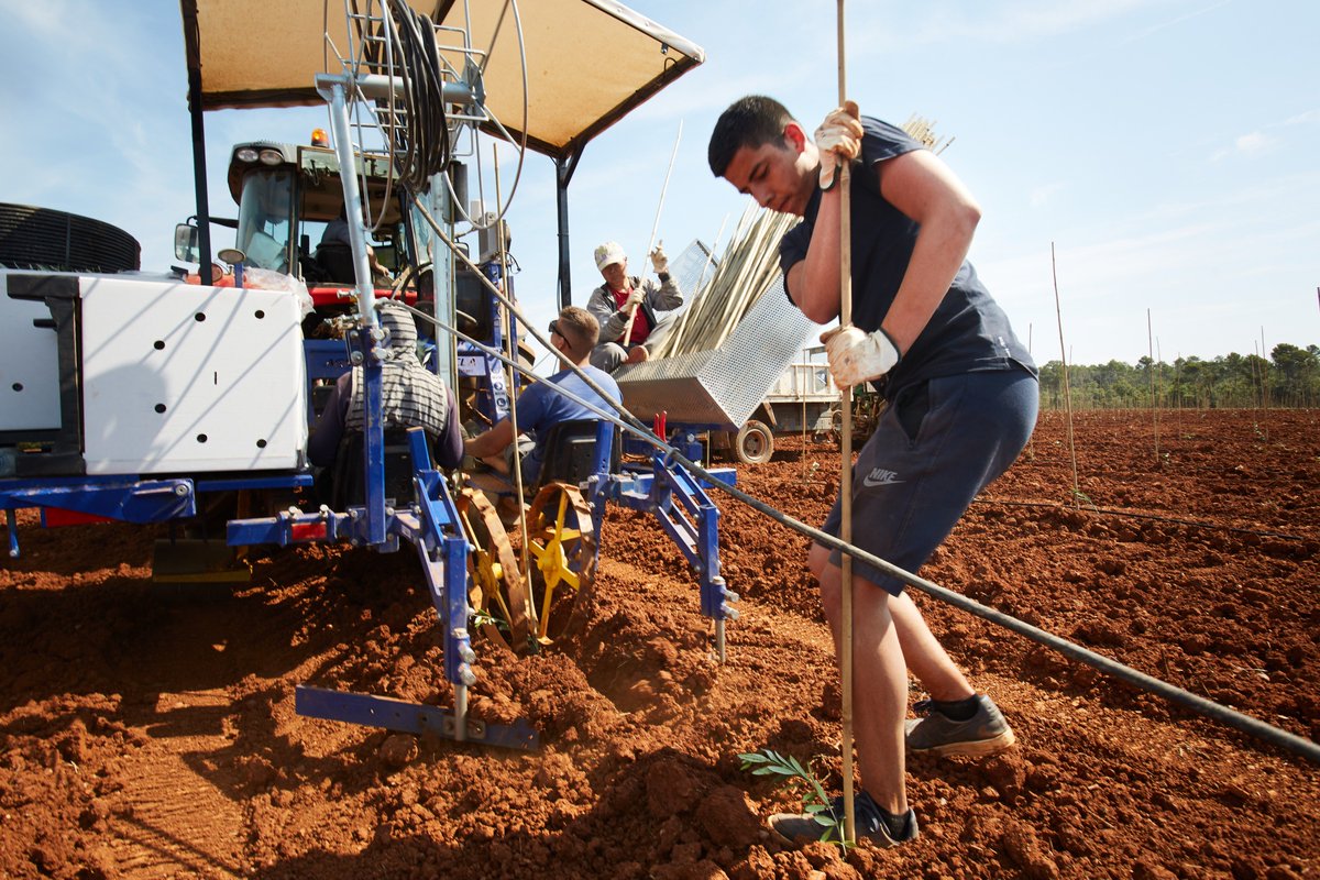 L'Actual tweet media