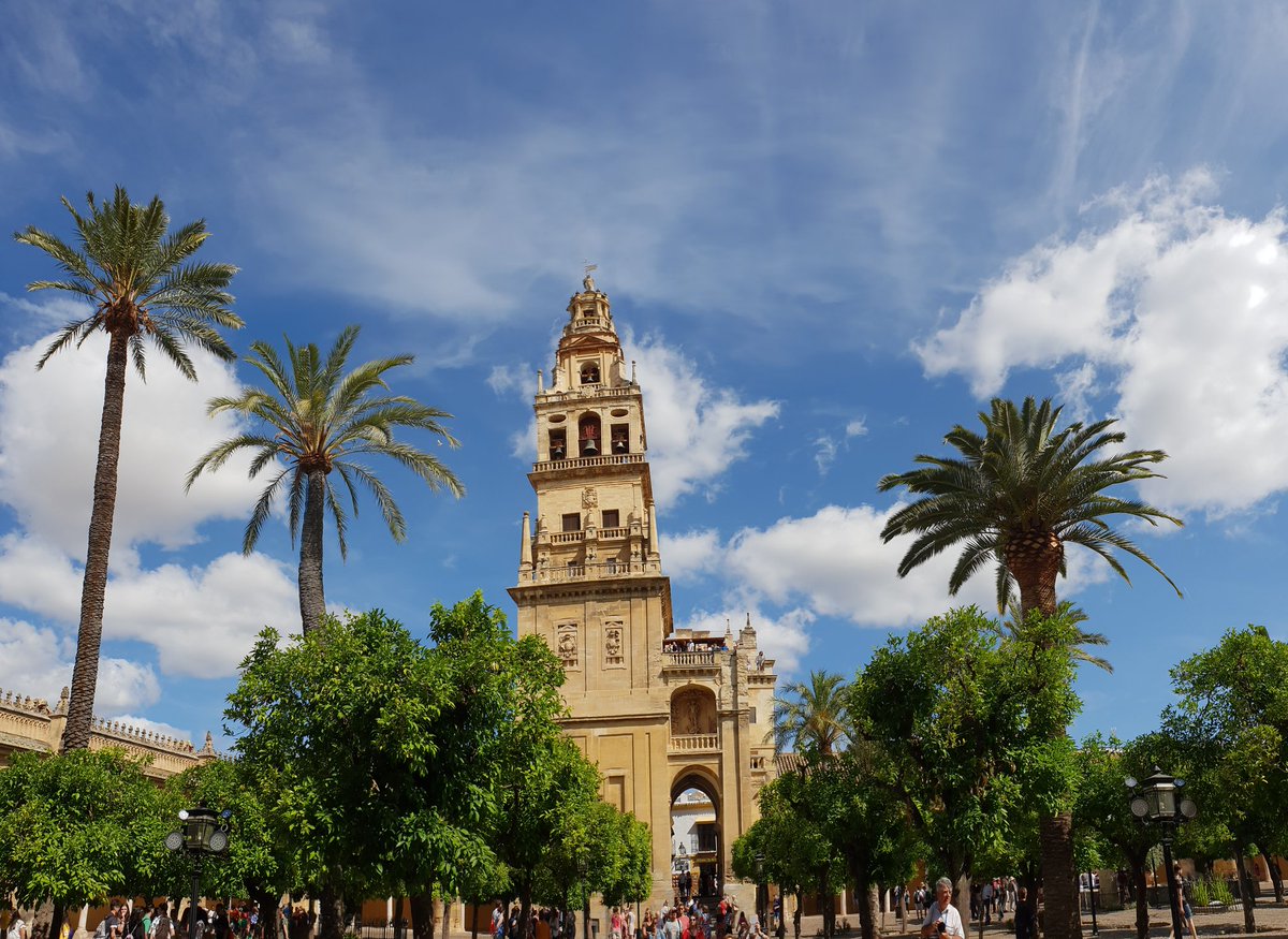 Benj' Thi🇫🇷🍎🥔 tweet media