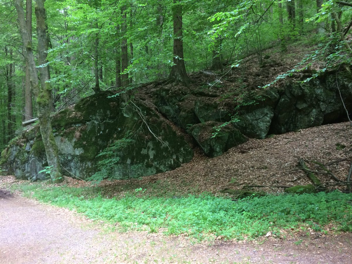 Reinhard Fuchs tweet media