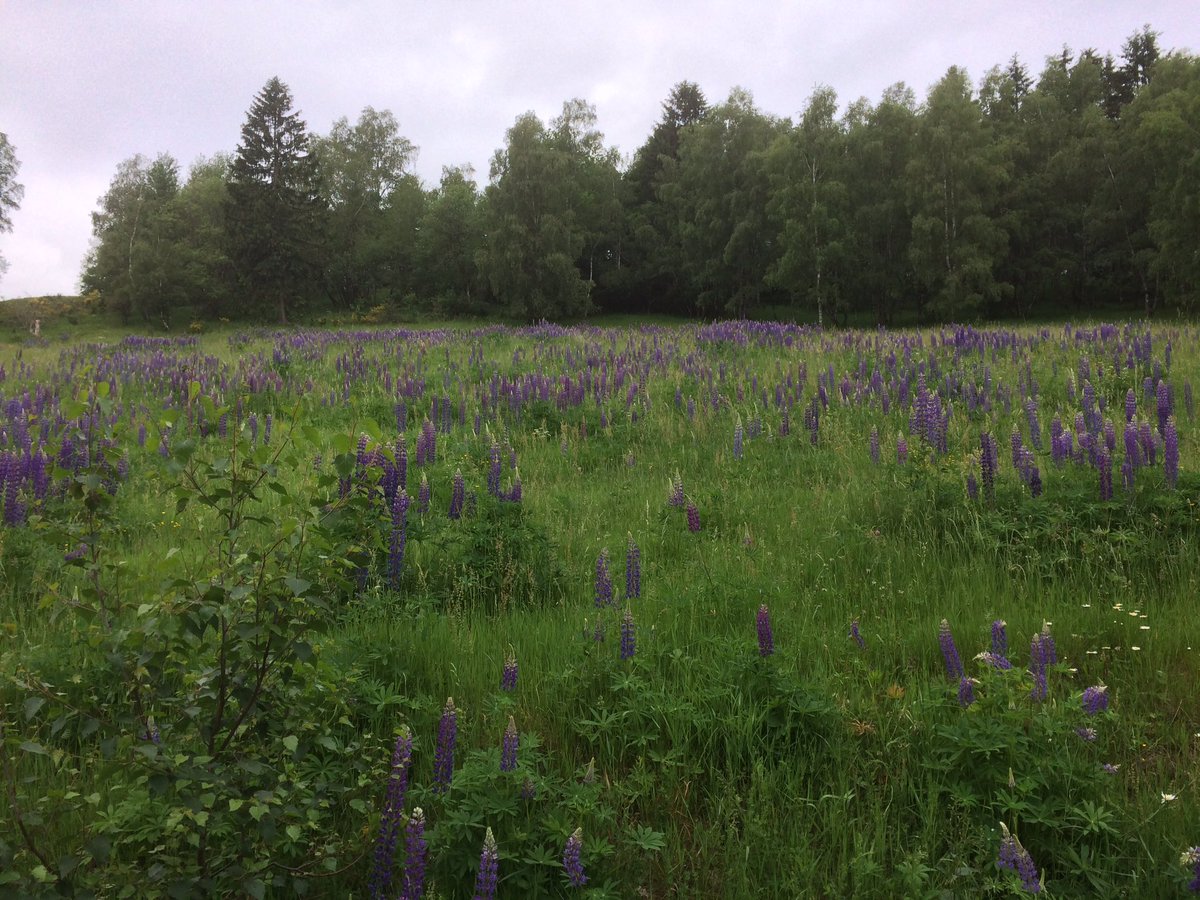 Reinhard Fuchs tweet media